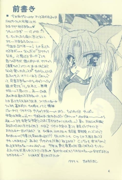 Page 3 of Ai no Katachi?