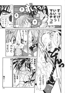 Page 14 of Spermulti