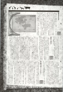 Page 121 of Rune official Nonohara Miki artworks