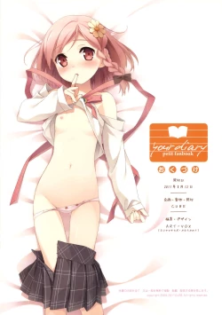 Page 14 of your diary petit fanbook