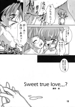 Page 12 of Kanzen Nenshou 7