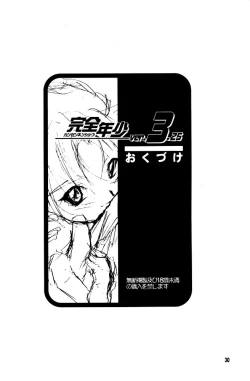 Page 29 of Kanzen Nenshou Ver. 3.15