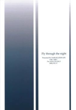 Page 25 of Fly through the night