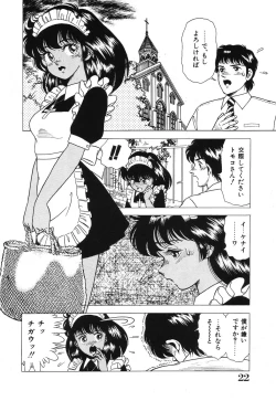 Page 22 of Seijo Ryougyaku
