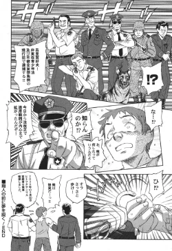 Page 37 of Petafeti. 12