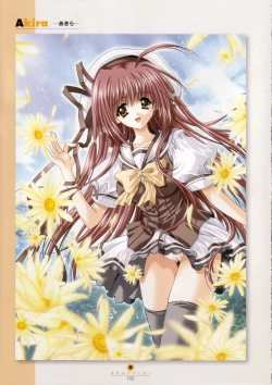 Page 153 of Shuffle! - Visual Fan Book