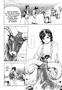 Page 4 of Nangoku no Mouflon | Mouflon of the South