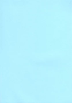 Page 2 of Futanari Euphemia x Kyonyuu Cornelia