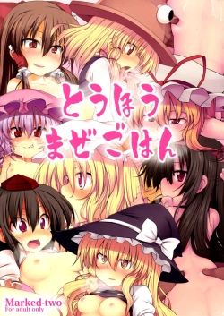 Page 1 of Touhou Maze Gohan