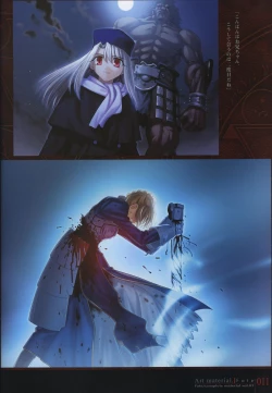 Page 16 of Fate/complete material I - Art material.