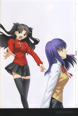 Page 222 of Fate/complete material I - Art material.
