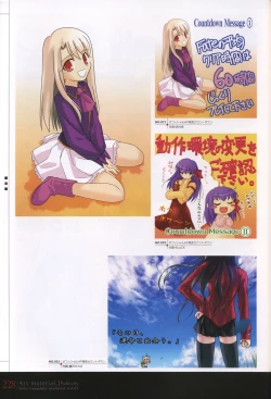 Page 233 of Fate/complete material I - Art material.