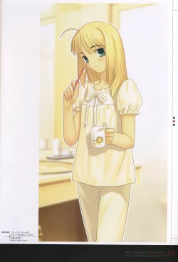 Page 238 of Fate/complete material I - Art material.