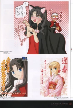 Page 248 of Fate/complete material I - Art material.
