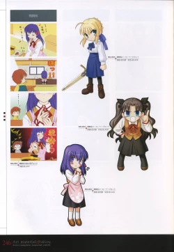 Page 251 of Fate/complete material I - Art material.