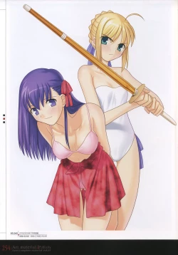Page 259 of Fate/complete material I - Art material.