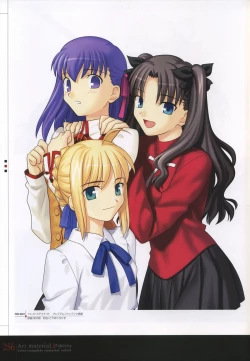 Page 261 of Fate/complete material I - Art material.