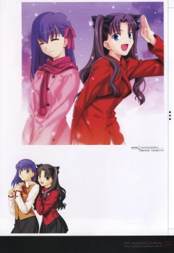 Page 262 of Fate/complete material I - Art material.