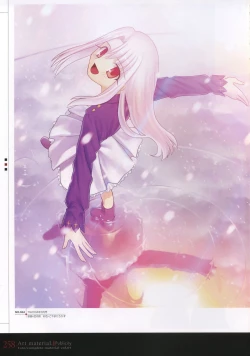 Page 263 of Fate/complete material I - Art material.