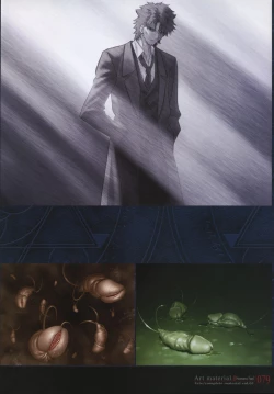 Page 84 of Fate/complete material I - Art material.