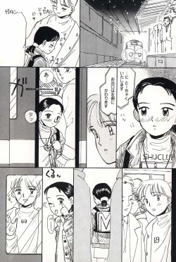 Page 27 of Shoujo no Tadashii Shitsukekata Vol.2