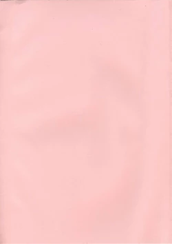 Page 13 of Libido7 DVD Visual Works