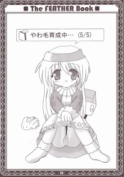 Page 13 of Yawakehon - The FEATHER book