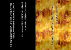 Page 17 of Toaru Deedlit no Choukyou Nisshi