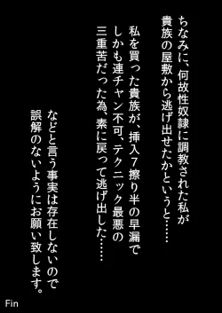 Page 18 of Toaru Deedlit no Choukyou Nisshi