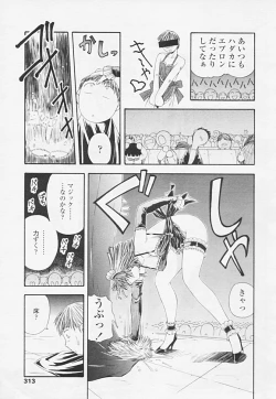 Page 315 of COMIC TENMA 2005-06 Vol. 85