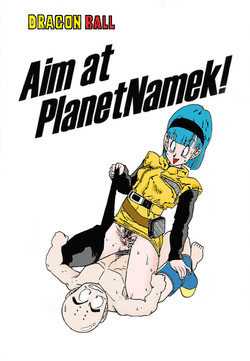 Download Aim at Planet Namek!