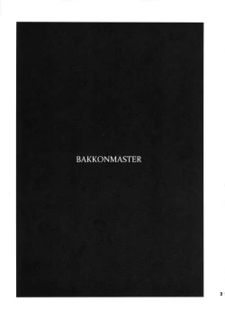 Page 2 of BakkonMaster