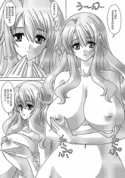 Page 4 of Himeji Mizuki ga Issho