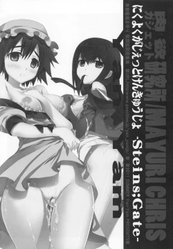 Page 13 of Nikuyoku Gadget Kenkyuujo