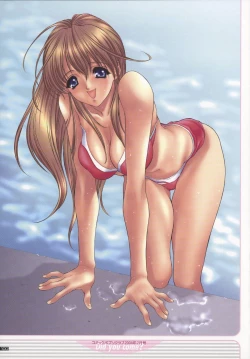 Page 100 of NAS-O illustration works