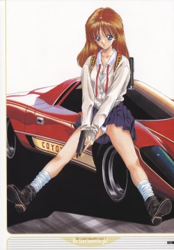 Page 117 of NAS-O illustration works