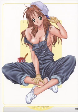 Page 32 of NAS-O illustration works