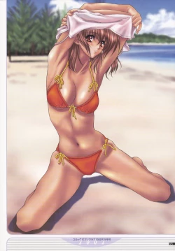 Page 68 of NAS-O illustration works