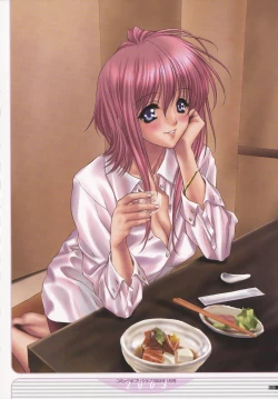 Page 72 of NAS-O illustration works