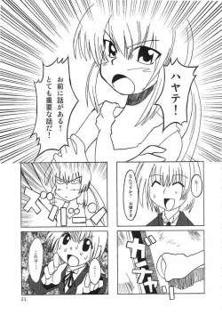 Page 20 of Hayate ni yoru fukuonsho