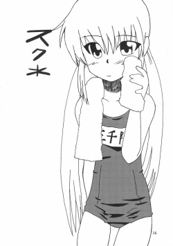Page 25 of Hayate ni yoru fukuonsho