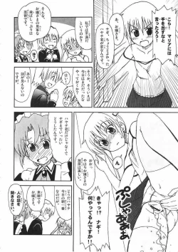 Page 5 of Hayate ni yoru fukuonsho