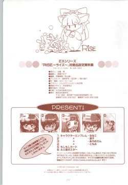 Page 113 of RISE Capture & Materials