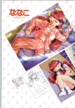 Page 13 of RISE Capture & Materials