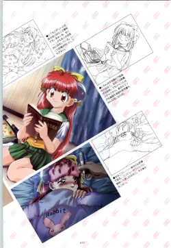 Page 14 of RISE Capture & Materials