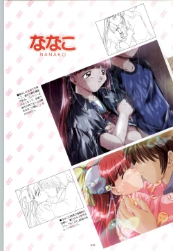 Page 17 of RISE Capture & Materials