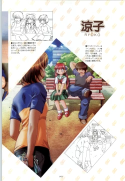 Page 44 of RISE Capture & Materials