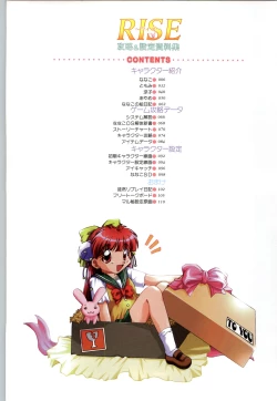 Page 5 of RISE Capture & Materials