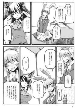 Page 4 of Animal lover