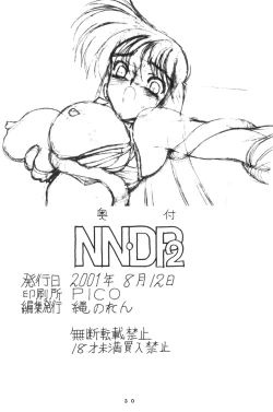 Page 29 of NNDP 2
